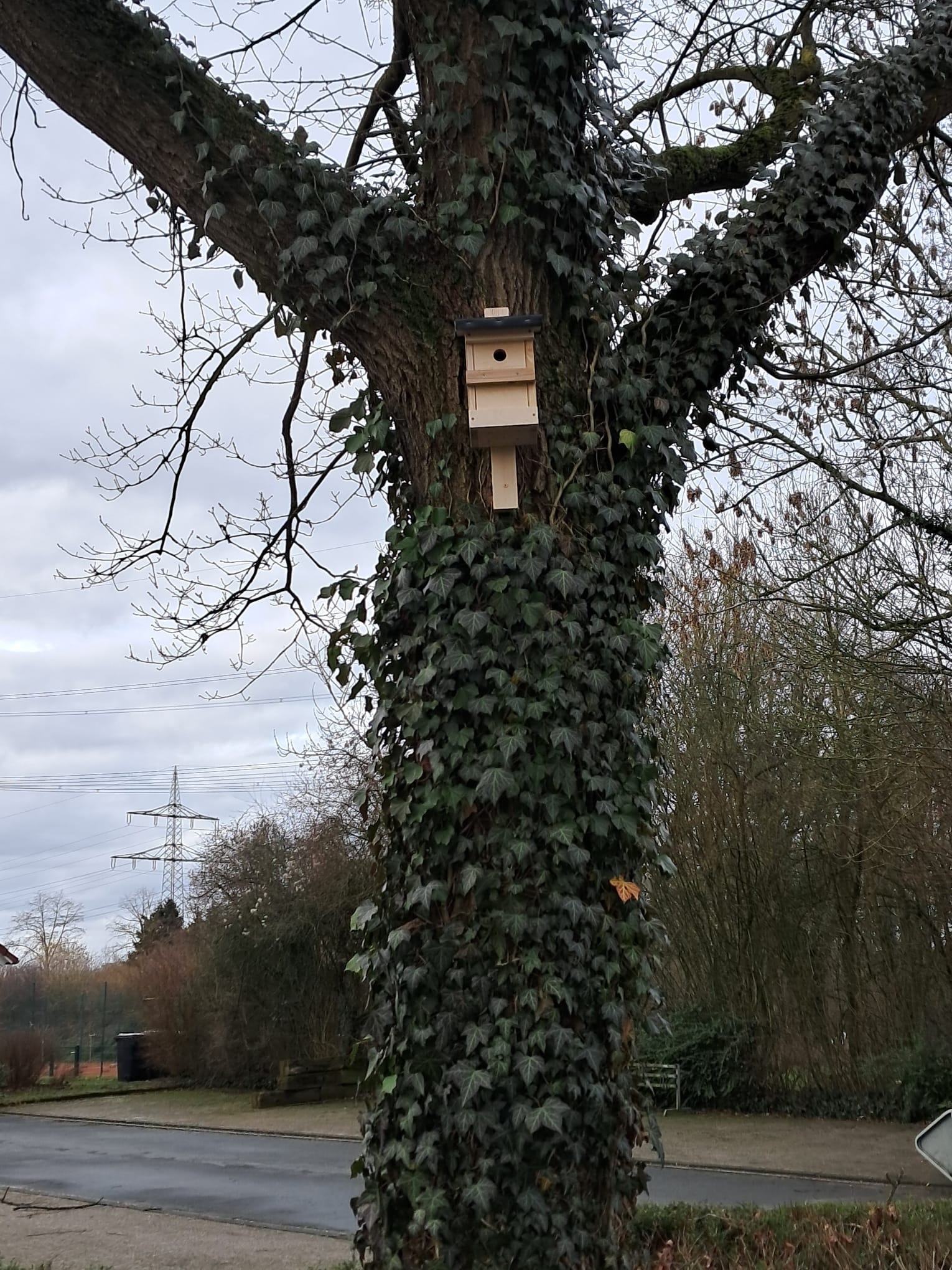 Nistkaestenreinigung 2026